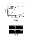 COMPOSITIONS AND METHODS FOR INHIBITING NF-KB MEDIATED TUMORIGENICITY AND     ADHESION-DEPENDENT SURVIVAL OF CANCER CELLS diagram and image