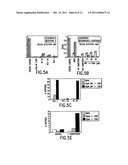 COMPOSITIONS AND METHODS FOR INHIBITING NF-KB MEDIATED TUMORIGENICITY AND     ADHESION-DEPENDENT SURVIVAL OF CANCER CELLS diagram and image