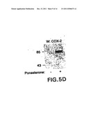 COMPOSITIONS AND METHODS FOR INHIBITING NF-KB MEDIATED TUMORIGENICITY AND     ADHESION-DEPENDENT SURVIVAL OF CANCER CELLS diagram and image