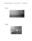 SURFACE-MODIFIED POLYMER FILMS diagram and image