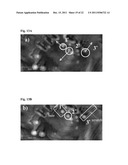 SURFACE-MODIFIED POLYMER FILMS diagram and image