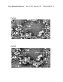 SURFACE-MODIFIED POLYMER FILMS diagram and image