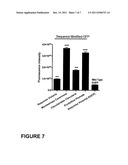  Method for Increasing Protein Expression in Cells diagram and image