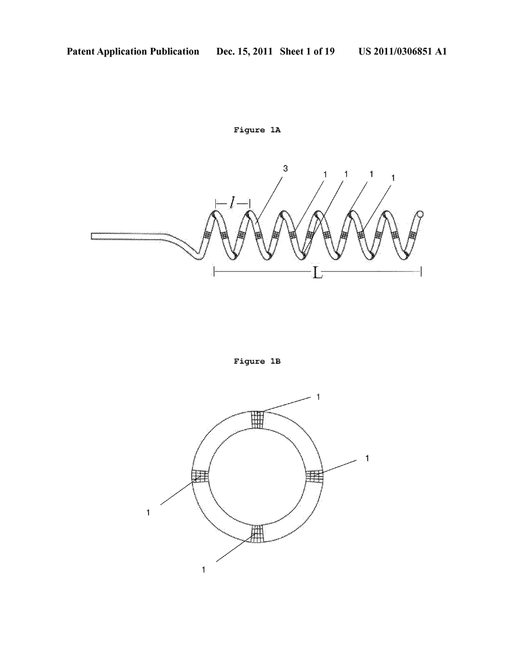 MAPPING SYMPATHETIC NERVE DISTRIBUTION FOR RENAL ABLATION AND CATHETERS     FOR SAME - diagram, schematic, and image 02