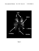  PHOTOACOUSTIC IMAGING DEVICE diagram and image