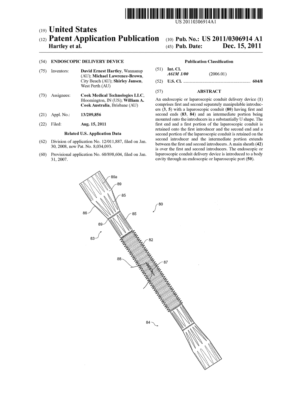 ENDOSCOPIC DELIVERY DEVICE - diagram, schematic, and image 01