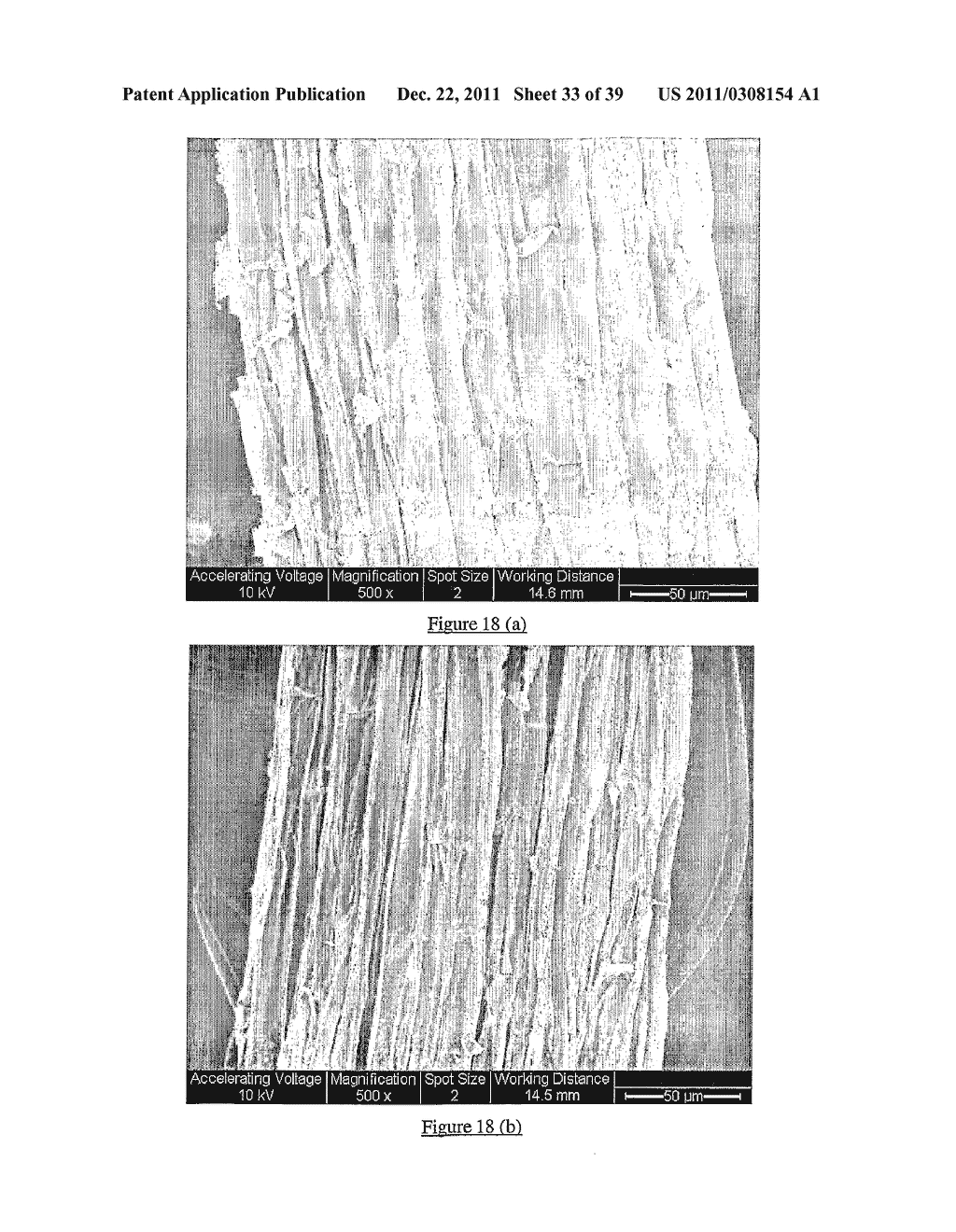 SYNTHETIC SYMBIOTIC SYSTEM AS SOIL ADDITIVES TO DELIVER ACTIVE INGREDIENTS     THROUGH PLANT ROOTS FOR ENHANCED PLANT AND CROP YIELD - diagram, schematic, and image 34