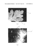 SOFT AND STRONG FIBROUS STRUCTURES AND METHODS FOR MAKING SAME diagram and image