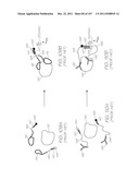 GENETIC ANALYSIS LOC DEVICE WITH THICK ELECTRODES FOR     ELECTROCHEMILUMINESCENT DETECTION OF TARGET SEQUENCES diagram and image