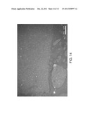 PROCESS FOR USING CATALYST WITH RAPID FORMATION OF IRON SULFIDE IN SLURRY     HYDROCRACKING diagram and image