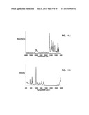 HANDHELD INFRARED AND RAMAN MEASUREMENT DEVICES AND METHODS diagram and image