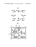 Touch-type key input apparatus diagram and image