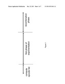 CRYTOGRAPHICALLY TRANSFORMING DATA TEXT diagram and image