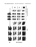 TRAINING-FREE GENERIC OBJECT DETECTION IN 2-D AND 3-D USING LOCALLY     ADAPTIVE REGRESSION KERNELS diagram and image