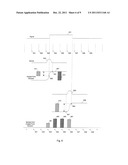 Method and Apparatus for Anti-Aliasing Scan Conversion diagram and image