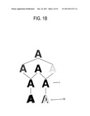 DEVELOPING-TRANSFERRING MODULE AND IMAGE FORMING APPARATUS HAVING THE SAME diagram and image