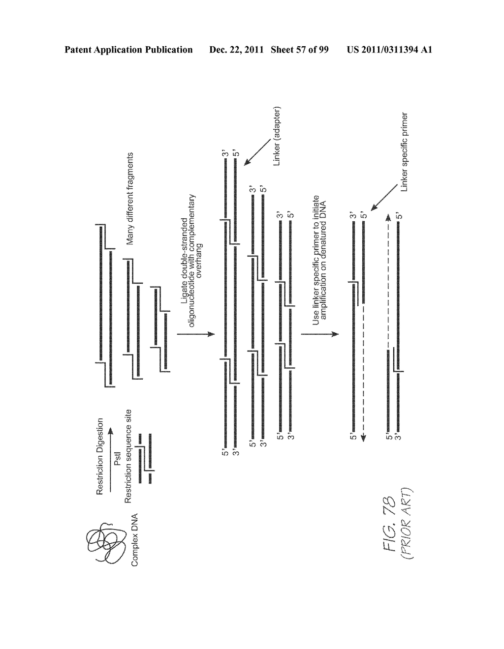 MICROFLUIDIC DEVICE WITH THERMAL BEND ACTUATED SURFACE TENSION VALVE - diagram, schematic, and image 58