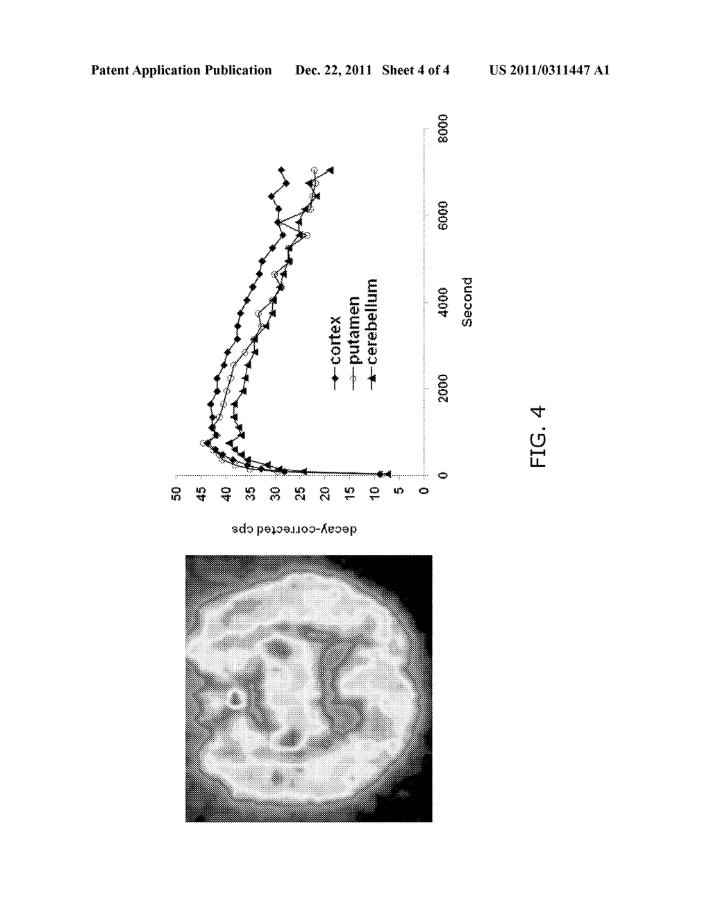 Compounds comprising 4-benzoylpiperidine as a Sigma-1-selective ligand - diagram, schematic, and image 05