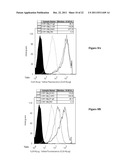 Antibodies diagram and image