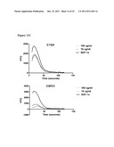 Antibodies diagram and image