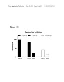 Antibodies diagram and image