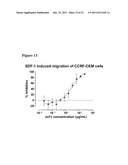 Antibodies diagram and image