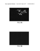 POLYPEPTIDES AND POLYNUCLEOTIDES, AND USES THEREOF AS A DRUG TARGET FOR     PRODUCING DRUGS AND BIOLOGICS diagram and image