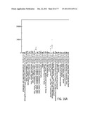 POLYPEPTIDES AND POLYNUCLEOTIDES, AND USES THEREOF AS A DRUG TARGET FOR     PRODUCING DRUGS AND BIOLOGICS diagram and image