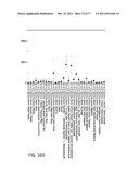 POLYPEPTIDES AND POLYNUCLEOTIDES, AND USES THEREOF AS A DRUG TARGET FOR     PRODUCING DRUGS AND BIOLOGICS diagram and image