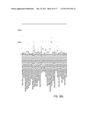 POLYPEPTIDES AND POLYNUCLEOTIDES, AND USES THEREOF AS A DRUG TARGET FOR     PRODUCING DRUGS AND BIOLOGICS diagram and image