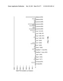 POLYPEPTIDES AND POLYNUCLEOTIDES, AND USES THEREOF AS A DRUG TARGET FOR     PRODUCING DRUGS AND BIOLOGICS diagram and image