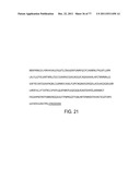 POLYPEPTIDES AND POLYNUCLEOTIDES, AND USES THEREOF AS A DRUG TARGET FOR     PRODUCING DRUGS AND BIOLOGICS diagram and image