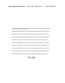 POLYPEPTIDES AND POLYNUCLEOTIDES, AND USES THEREOF AS A DRUG TARGET FOR     PRODUCING DRUGS AND BIOLOGICS diagram and image