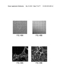 POLYPEPTIDES AND POLYNUCLEOTIDES, AND USES THEREOF AS A DRUG TARGET FOR     PRODUCING DRUGS AND BIOLOGICS diagram and image