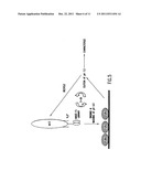 MOLECULES WITH EXTENDED HALF-LIVES, COMPOSITIONS AND USES THEREOF diagram and image