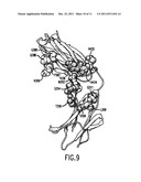 MOLECULES WITH EXTENDED HALF-LIVES, COMPOSITIONS AND USES THEREOF diagram and image