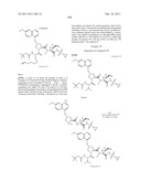 Hepatitis C Virus Inhibitors diagram and image