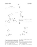 Hepatitis C Virus Inhibitors diagram and image