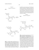 Hepatitis C Virus Inhibitors diagram and image