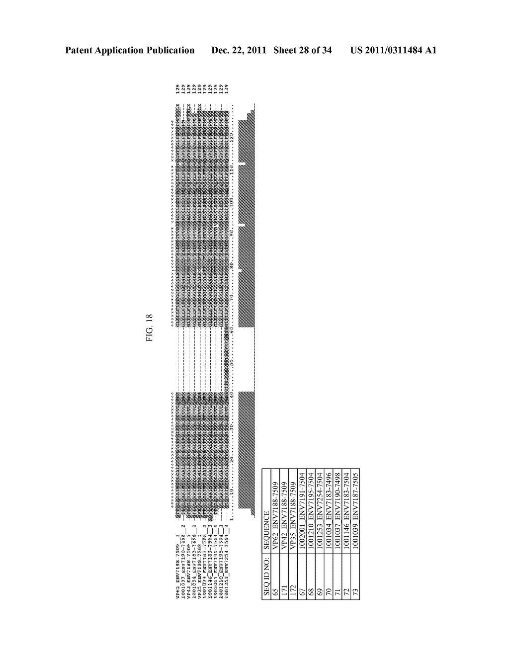 STRAINS OF XENOTROPIC MURINE LEUKEMIA-RELATED VIRUS AND METHODS FOR     DETECTION THEREOF - diagram, schematic, and image 29