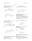 1,2,4-OXADIAZOLE DERIVATIVES AND THEIR THERAPEUTIC USE diagram and image