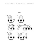 Genetic Variants Underlying Human Cognition and Methods of Use Thereof as     Diagnostic and Therapeutic Targets diagram and image