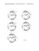 MONOCLONAL ANTIBODIES BINDING TO AVIAN INFLUENZA VIRUS SUBTYPE H5     HAEMAGGLUTININ AND USES THEREOF diagram and image