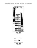 Inhibitors of Angiopoietin-Like 4 Protein, Combinations, and Their Use diagram and image