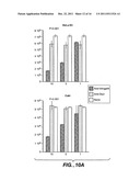 Inhibitors of Angiopoietin-Like 4 Protein, Combinations, and Their Use diagram and image