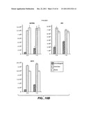 Inhibitors of Angiopoietin-Like 4 Protein, Combinations, and Their Use diagram and image