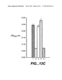 Inhibitors of Angiopoietin-Like 4 Protein, Combinations, and Their Use diagram and image