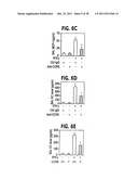 Methods and Compositions Relating to CCR5 Antagonist, IFN-Gamma and IL-13     Induced Inflammation diagram and image