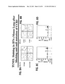 Methods and Compositions Relating to CCR5 Antagonist, IFN-Gamma and IL-13     Induced Inflammation diagram and image