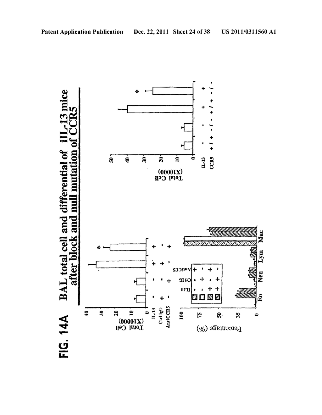Methods and Compositions Relating to CCR5 Antagonist, IFN-Gamma and IL-13     Induced Inflammation - diagram, schematic, and image 25